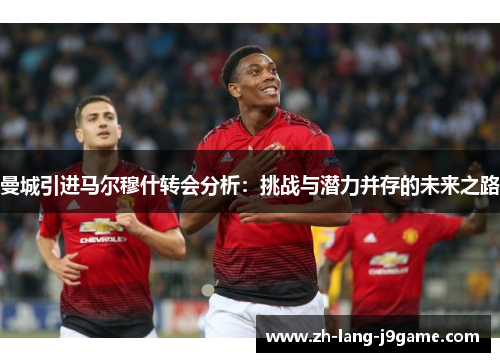 曼城引进马尔穆什转会分析：挑战与潜力并存的未来之路
