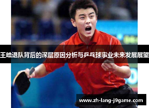 王皓退队背后的深层原因分析与乒乓球事业未来发展展望