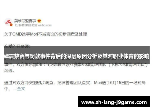 魏震禁赛与罚款事件背后的深层原因分析及其对职业体育的影响 魏震禁赛与罚款事件背后的深层原因分析及其对职业体育的影响