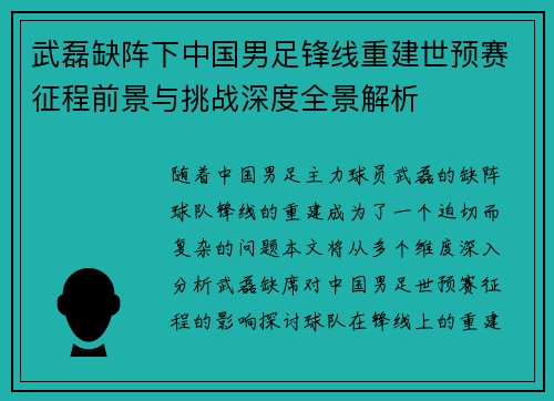 武磊缺阵下中国男足锋线重建世预赛征程前景与挑战深度全景解析
